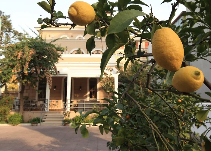 Villa Pirandello Roma